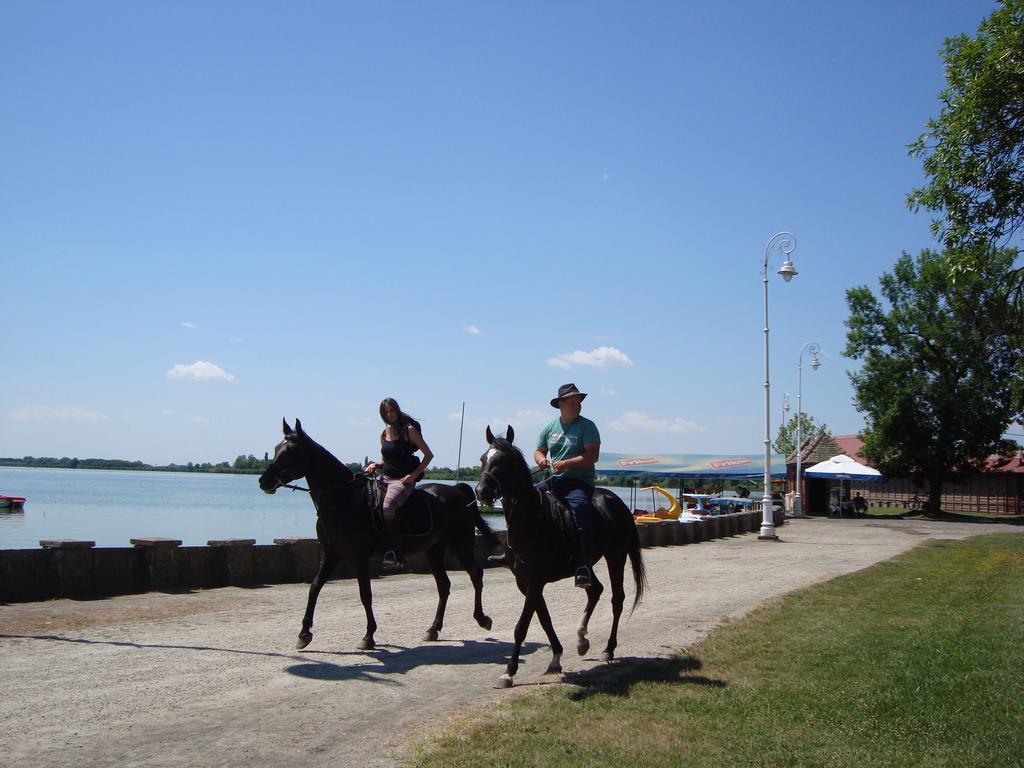 Vila Madams - Palic-Serbia 外观 照片