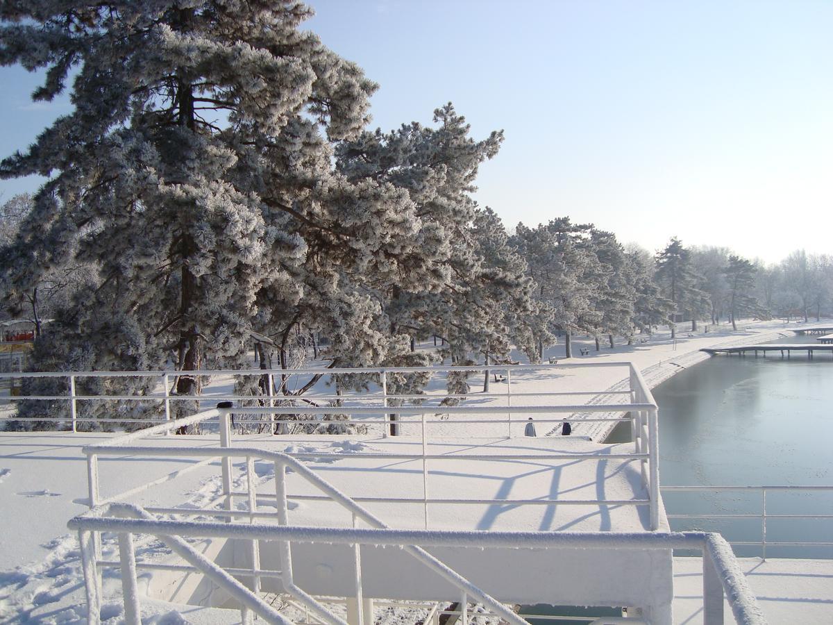 Vila Madams - Palic-Serbia 外观 照片