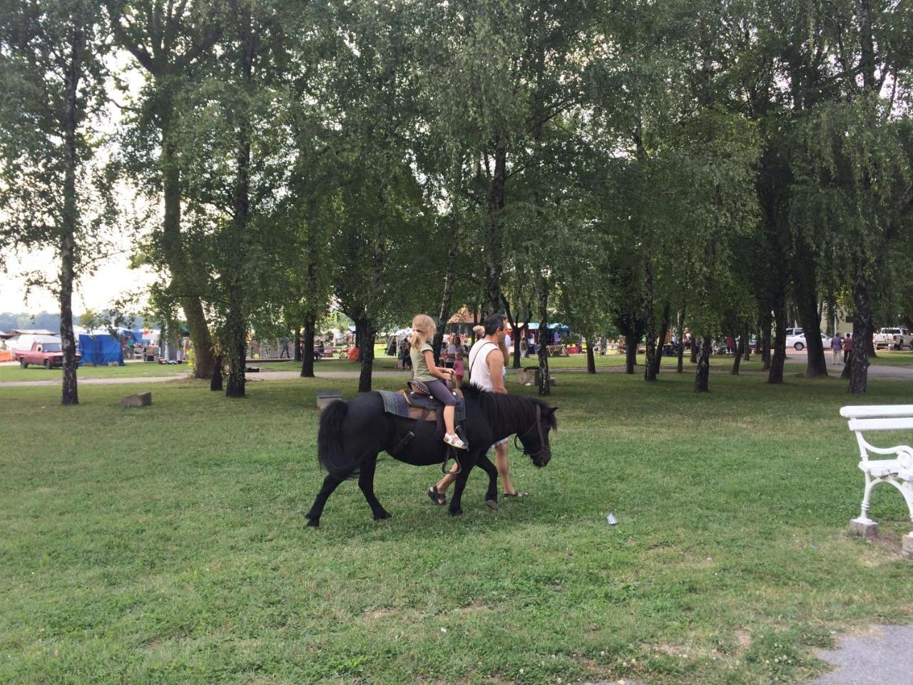 Vila Madams - Palic-Serbia 外观 照片